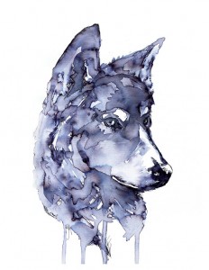Gray Wolf. Ink