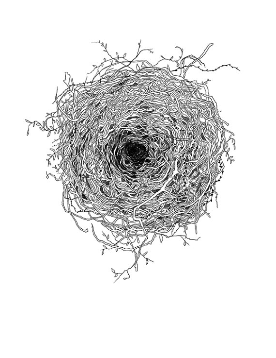 Nest Illustration