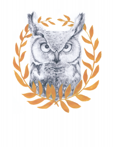 Wise Old Owl. Pencil and Gold paint