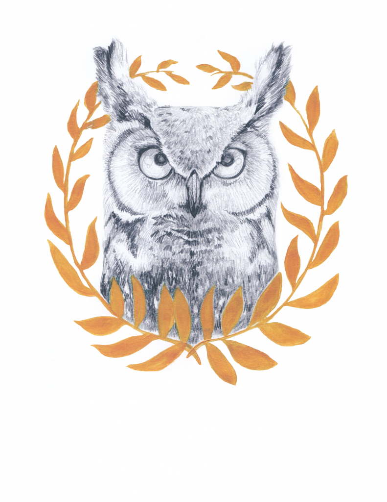 Wise Old Owl. Pencil and Gold paint