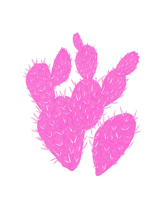 pink cactus by fin and feather art