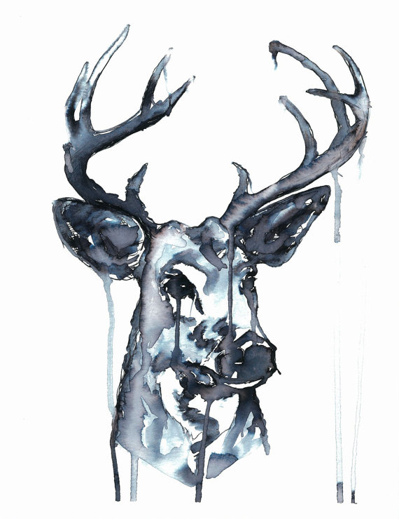 Whitetailed Deer. Ink