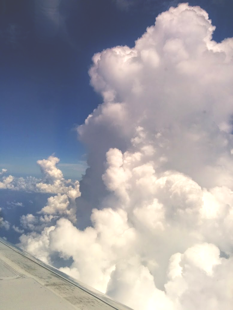 Airplane Window - Fin and Feather Art